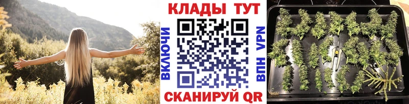 Где найти наркотики Городец ГАШ  A-PVP  Мефедрон 