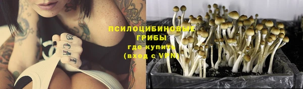 PSILOCYBIN Покров