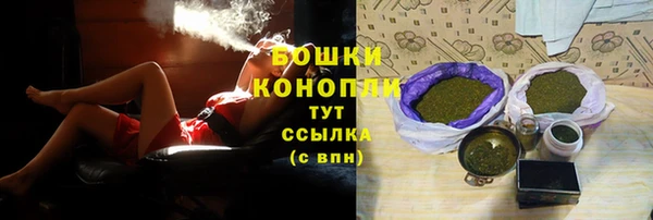 apvp Богданович