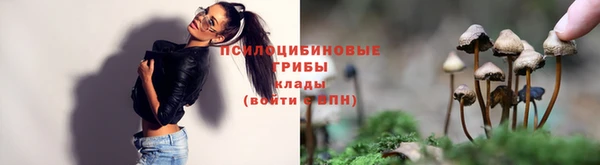 гидропоника Покачи