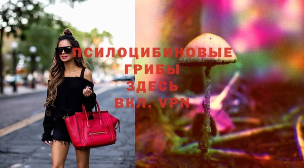 экстази Богородицк